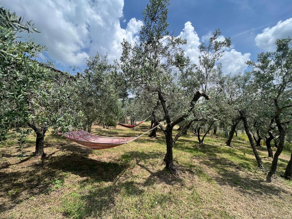 Casa Della Noce Bed & Breakfast Vinci Dış mekan fotoğraf